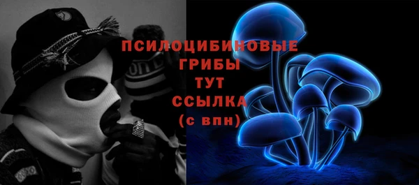 spice Абинск