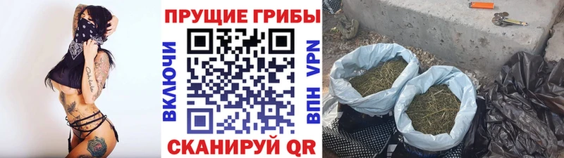 Галлюциногенные грибы мухоморы  МЕГА ссылки  Жердевка 