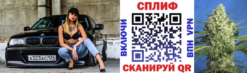 купить  цена  Жердевка  Каннабис индика 